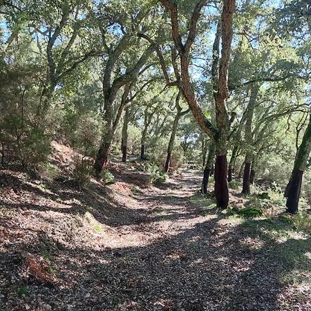 Apartamento Valle Del Guadiaro كورتيس دي لا فرونتيرا المظهر الخارجي الصورة
