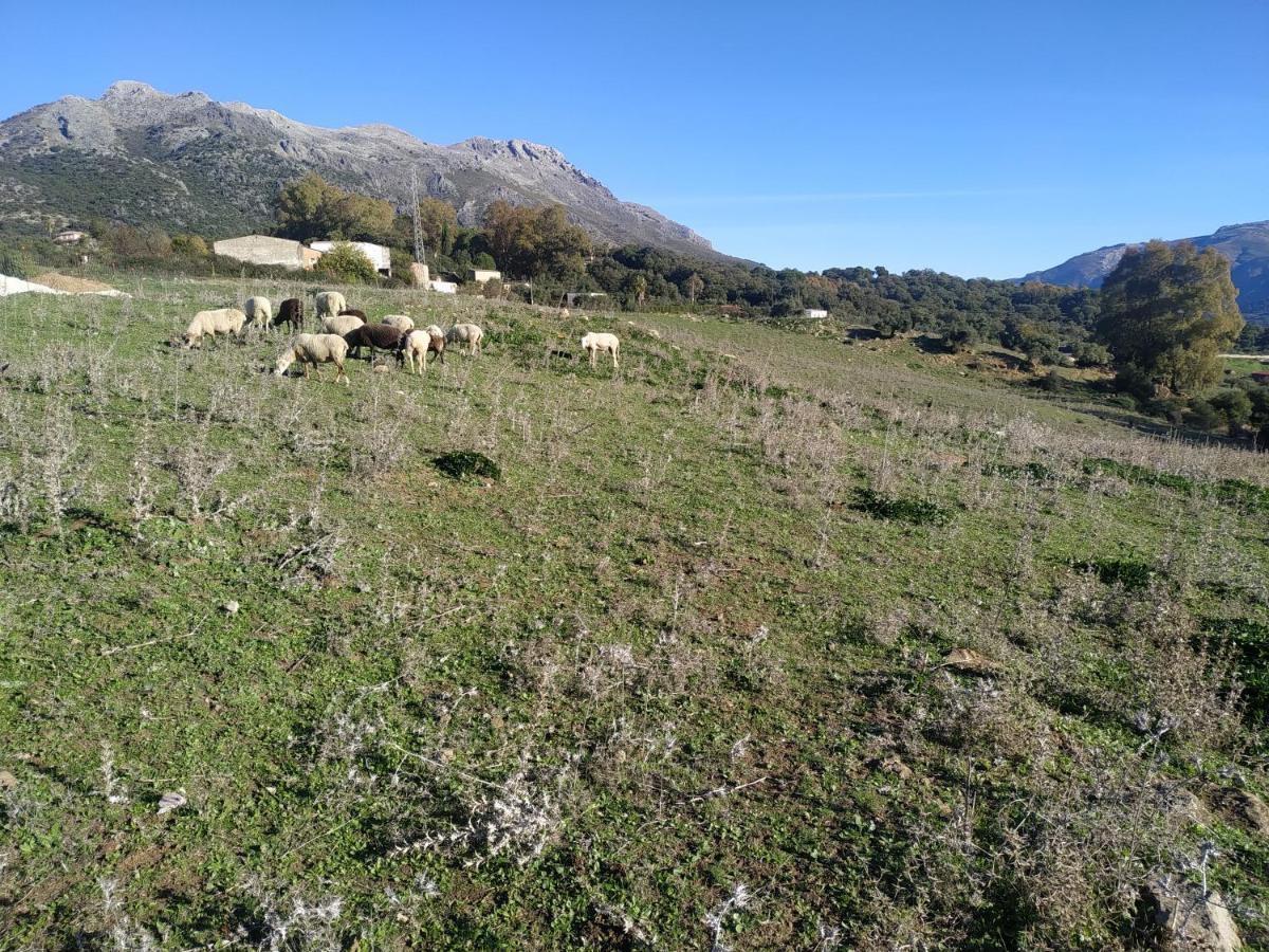 Apartamento Valle Del Guadiaro كورتيس دي لا فرونتيرا المظهر الخارجي الصورة