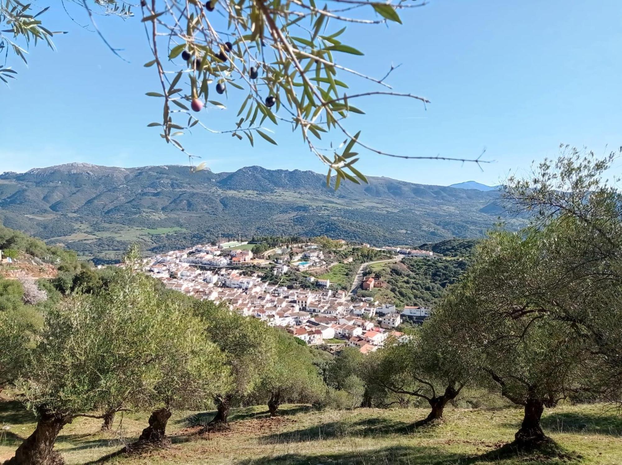 Apartamento Valle Del Guadiaro كورتيس دي لا فرونتيرا المظهر الخارجي الصورة